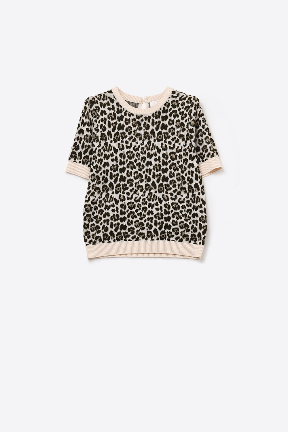 Maglione chic a maniche corte con stampa leopardata